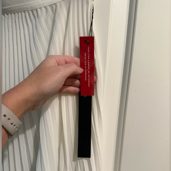 Carbon38 Mesh Pleated Maxi Skirt - Picture 5 of 9